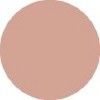 TANTALIZING TAUPE 725